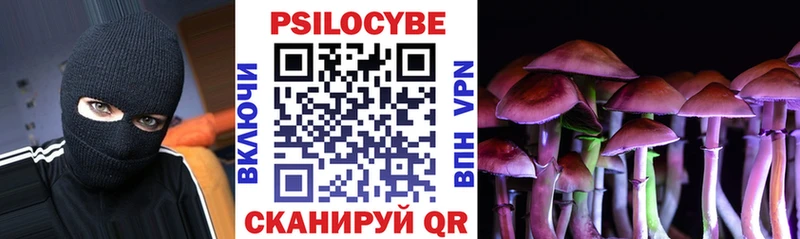 Галлюциногенные грибы Psilocybe  Купить закладки  Минусинск 