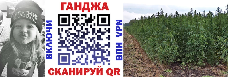 Купить закладки  Минусинск  Бошки Шишки Amnesia 